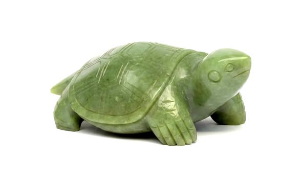 Želva nefrit obří 28 x 15 x 6cm