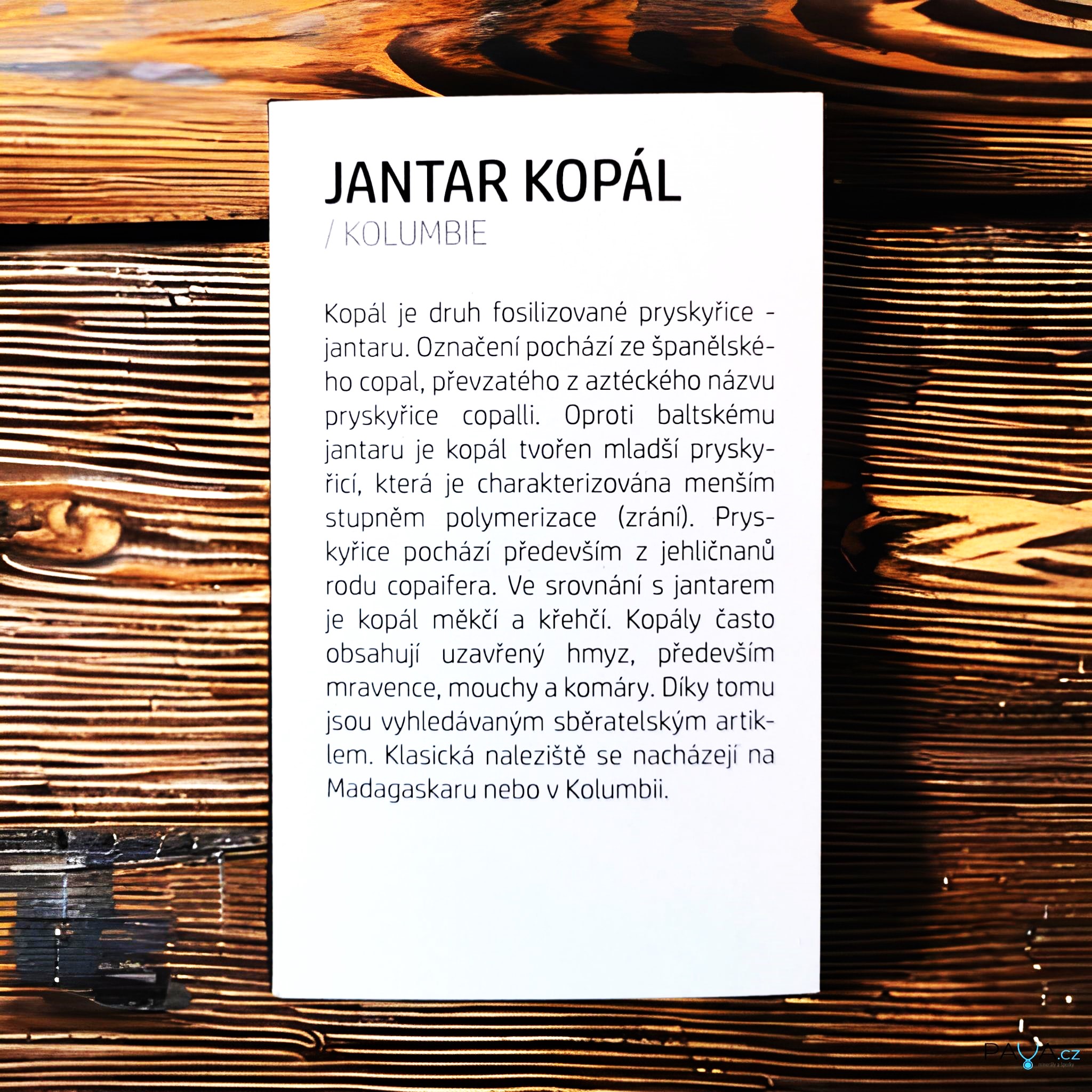 Kartička - JANTAR KOPÁL