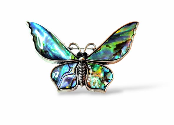 Brož motýl brož i přívěsek velký s perleti Paua 