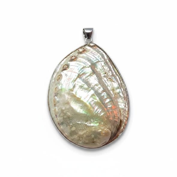 Mušle (Abalone) krémová přívěsek velký