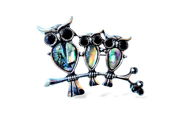 Sovičky na větvi brož i přívěsek s perletí Paua