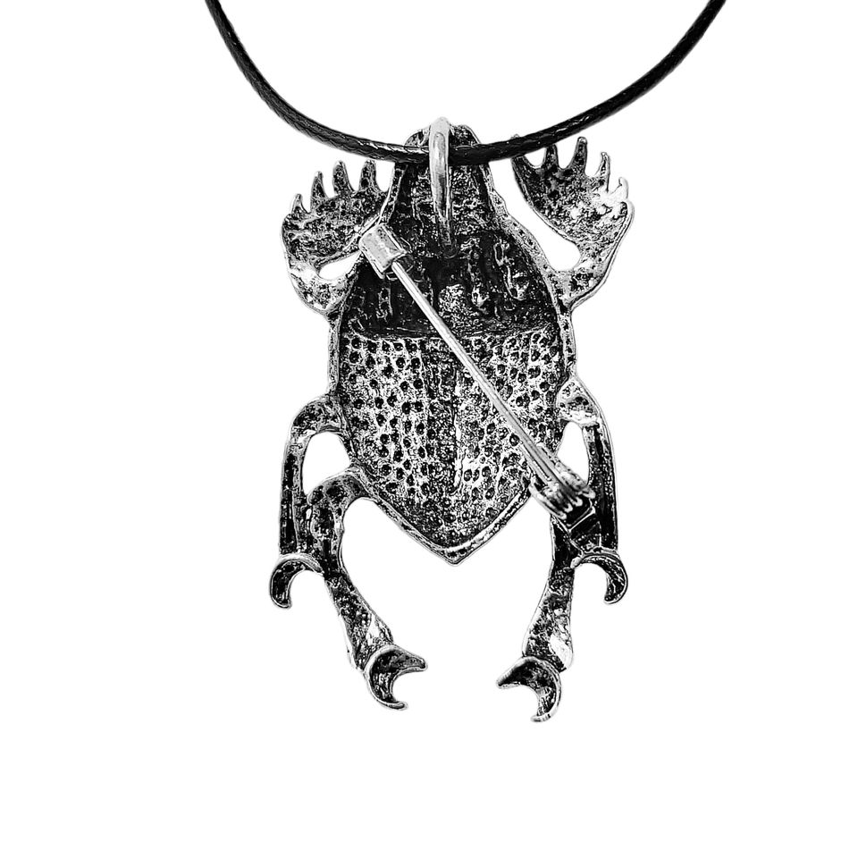Scarabeus velký brož i přívěsek s perletí Paua