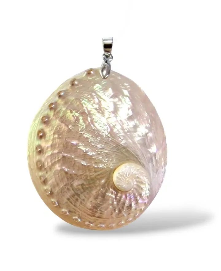 Mušle (Abalone) přívěsek