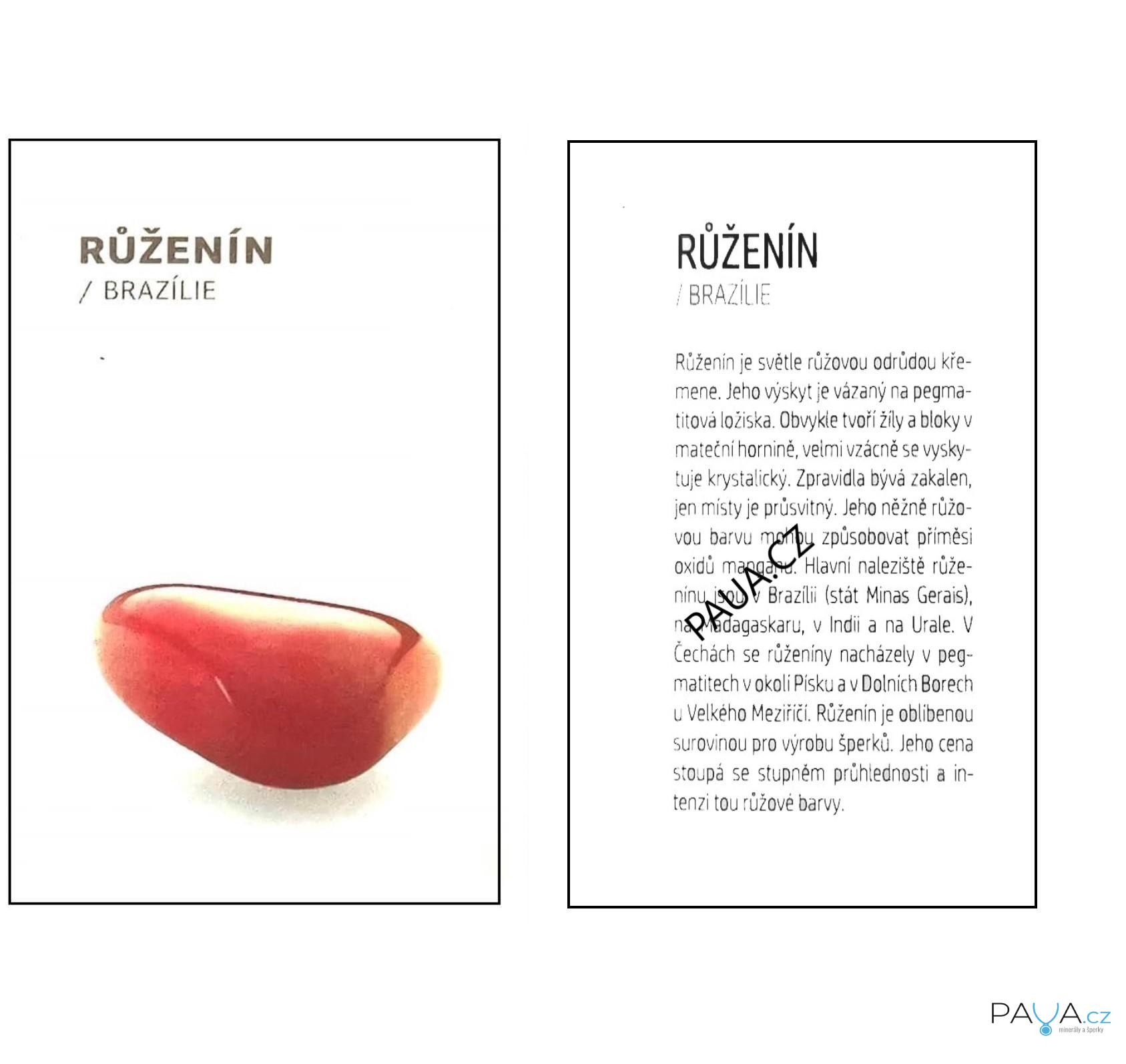 Kyvadlo růženín velké 