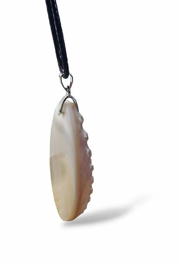 Mušle (Abalone) přívěsek