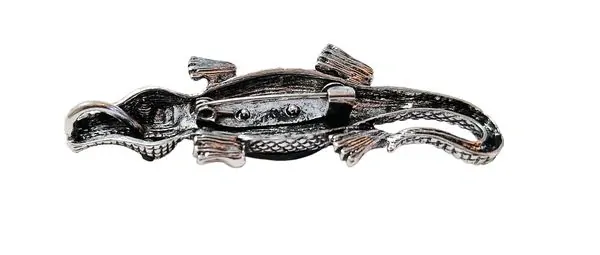 Krokodýl brož i přívěsek s perletí Paua