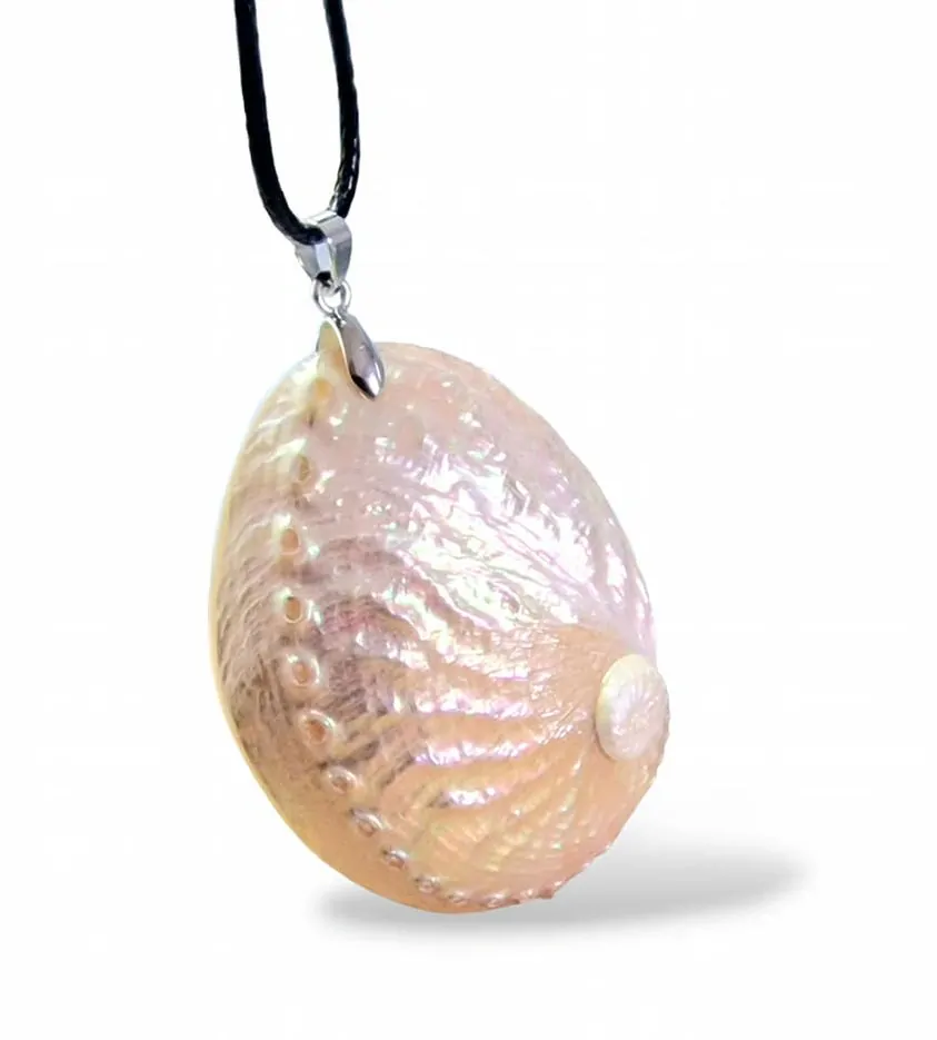 Mušle (Abalone) přívěsek