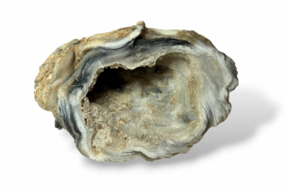 Achát peříčkový geodka vel. 8,5 x 5,8 x 2,7cm, č.37