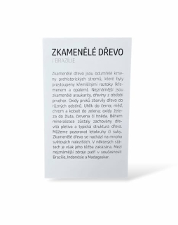 Kartička - ZKAMENĚLÉ DŘEVO